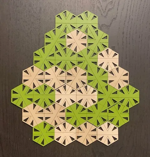 Socolar-Taylor Aperiodic Tiles - image 1