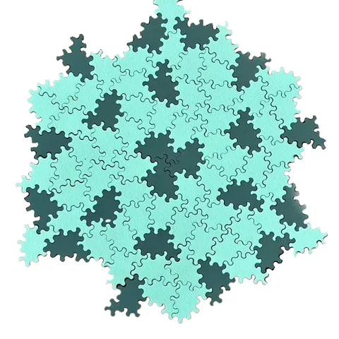 Einstein Tile- Splat- a Spectre tiling - image 1