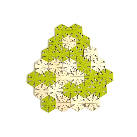 Socolar-Taylor Aperiodic Tiles - image 3